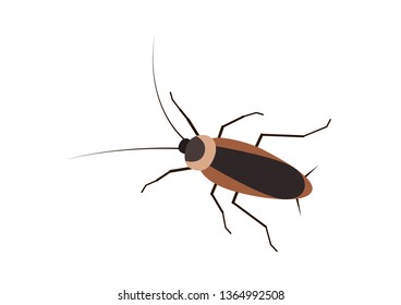 Vector Cockroach on a white background. hand-drawn. Icon of insect. 
 Line graphic design. Black and white.