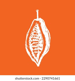 Vector Cocoa bean icon. Hand drawn sketch Cacao beans. Leaves of Cocoa bean isolated. Sign of Bean to bar cacao. Organic product doodle for cafe, shop, menu. Plant part for label, logo, sign, symbol.