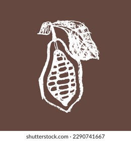 Vector Cocoa bean icon. Hand drawn sketch Cacao beans. Leaves of Cocoa bean isolated. Sign of Bean to bar cacao. Organic product doodle for cafe, shop, menu. Plant part for label, logo, sign, symbol.