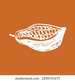 Vector Cocoa bean icon. Hand drawn sketch Cacao beans. Leaves of Cocoa bean isolated. Sign of Bean to bar cacao. Organic product doodle for cafe, shop, menu. Plant part for label, logo, sign, symbol.