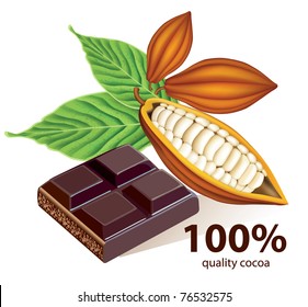 Vector cocoa beans with chocolate bar