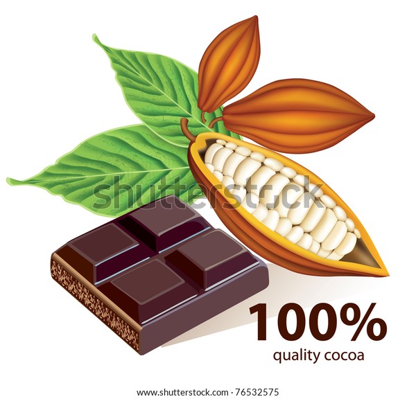 Vector Cocoa Beans Chocolate Bar Stock Vector (Royalty Free) 76532575