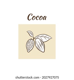 Vector Cocoa Illustration, Cocoa Branch with Leaves, Design Element, Graphic Art, Outline Cocoa Beans.
