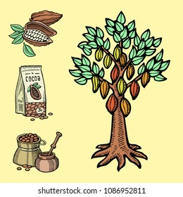 Vector cocoa products hand drawn sketch doodle food chocolate sweet illustration.