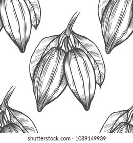 Vector Cocoa tree illustration. Vintage background with hand drawn with leaves, flowres, fruits and beans. Botanical seamless pattern. Aromatical and tonic elements sketch.