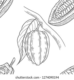 Vector Cocoa tree illustration. Vintage background with hand drawn with leaves, flowres, fruits and beans. Botanical seamless pattern. Aromatical and tonic elements sketch.