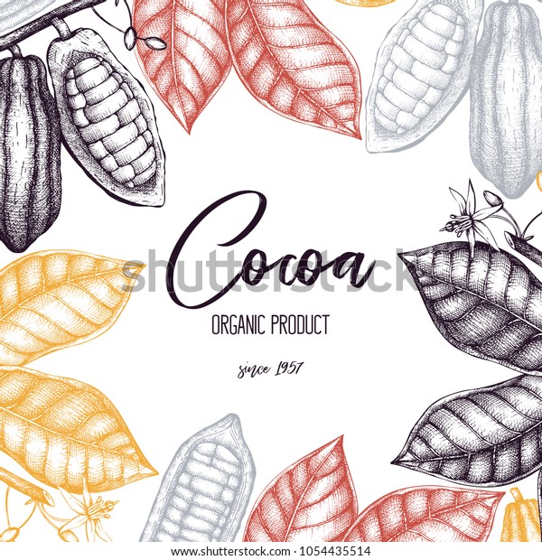 Vector Cocoa Tree Illustration Vintage Background: стоковая векторная ...