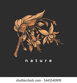 Vector cocoa tree with leaves and flower in bloom. Botanical golden shape, nature silhouette. Realistic vintage floral symbol. Hand drawn antique illustration isolated on black background 
