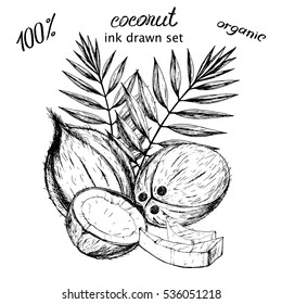 Vector coconut card. Hand drawn tropical food illustration in vintage style. Set of elements. Black on white sketch.