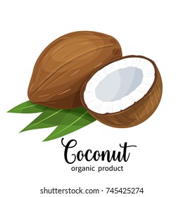 Vector coconut in cartoon style for brochures, banner and label cosmetic product for hair and body care.