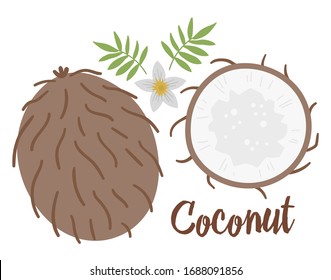 Vector coconut clip art. Jungle fruit illustration. Hand drawn flat exotic plants isolated on white background. Bright childish healthy tropical summer food illustration
