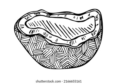Vector coconut clipart. Hand drawn nut icon. Tropical illustration. For print, web, design, decor, logo.