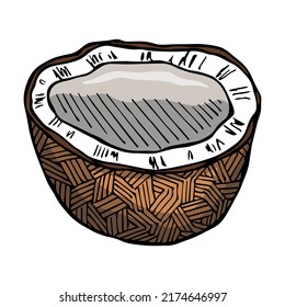 Vectorcoconut Clip Art. Hand gezeichnete Nusseisen-Ikone. Tropische Illustration. Für Druck, Web, Design, Dekoration, Logo.
