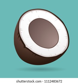 Vector coconut cut in half illustration