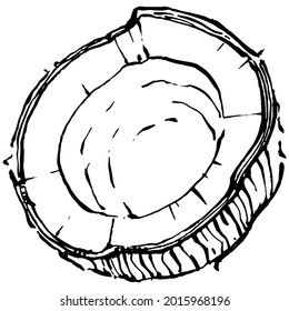 Vector coconut hand drawn Sketch. Vector tropical food illustration. Vintage style. The best for design logo, menu, label, icon, stamp.