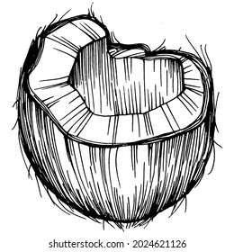 Vector coconut hand drawn Sketch. Vector tropical food illustration. Vintage style. The best for design logo, menu, label, icon, stamp.