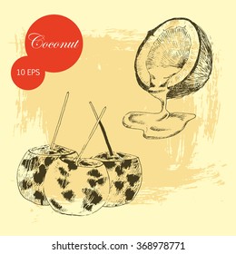 vector coconut hand drawn sketch. vintage style detailed ink and pencil illustration