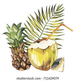 Vector coconut hand drawn sketch with Pineapple. Watercolor vector tropical food illustration. Isolated on white background.