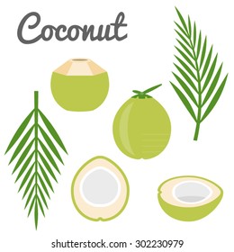 Vector Coconut Icon