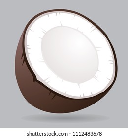 Vector coconut icon on grey background