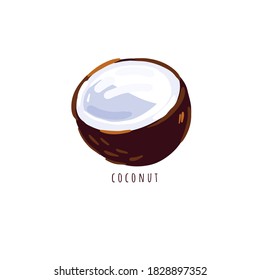 Ilustración de coco vectorial aislada en blanco. La mitad de coco de fondo blanco. 