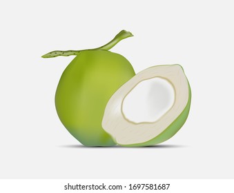 Vector coconut illustration for various related tasks