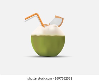 Vector coconut illustration for various related tasks