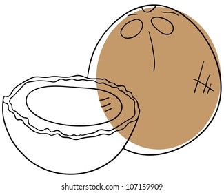 Vector coconut is isolated on a white background