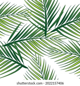 Vector Coconut Leaf Seamless Repeat Pattern.