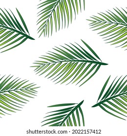 Vector Coconut Leaf Seamless Repeat Pattern.