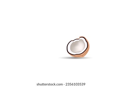 Vector coconut meat, coconut  milk used for illustration and other purposes.