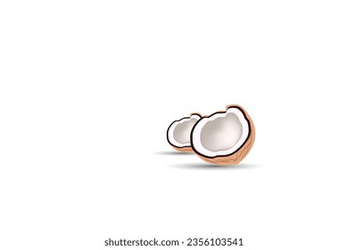 Vector coconut meat, coconut  milk used for illustration and other purposes.