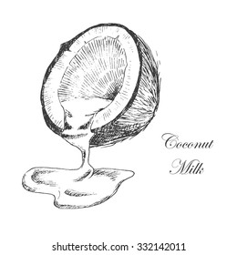 vector coconut milk sketch. detailed hand drawn botanical and food illustration in vintage style