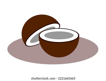 vector coconut It is an old coconut that has been cut in half. See white meat and dark brown coconut shells.
