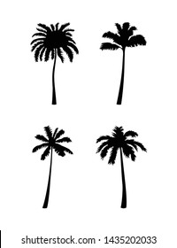 Conjunto de silueta de coco vectorial. Ilustración vectorial aislada en fondo blanco. Palmas para tu diseño gráfico. EPS10