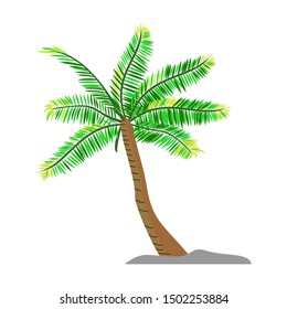 Vector coconut palm trees set isolated on white Premium Vector
