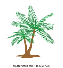 Vector coconut palm trees set isolated on white Premium Vector
