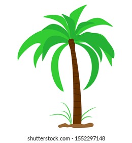 Vector coconut palm trees set isolated on white Premium Vector