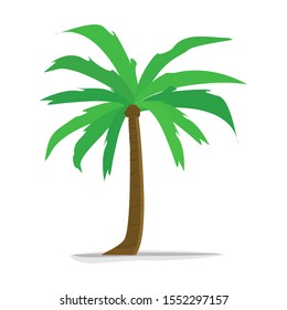 Vector coconut palm trees set isolated on white Premium Vector