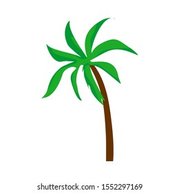 Vector coconut palm trees set isolated on white Premium Vector