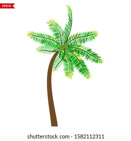 Vector coconut palm trees set isolated on white Premium Vector