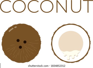 Vector of Coconut and sliced half of Coconut on white background