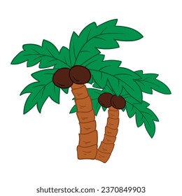 Árbol de coco vectorial sobre fondo blanco.