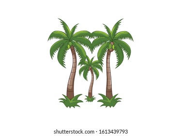 Vector of Coconut trees illustration cartoon design eps format