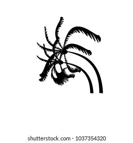 Vector of coconut Trees on white background , Suitable for use in architectural design , Decoration work , Used with natural articles both on print and website.