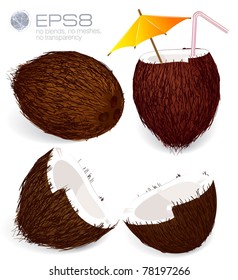 Vector coconuts.