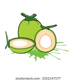 Vector Coconuts on a Sunny Day