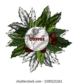 Vector coffee ads with beans in 3d illustration with ingredient plants and field scenery in etching shading style. Aroma drink. Decorative retro design, print, card, banner. Vintage coffee frame. 