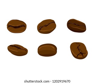 vector of coffee bean