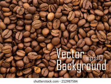 Vector coffee beans background.